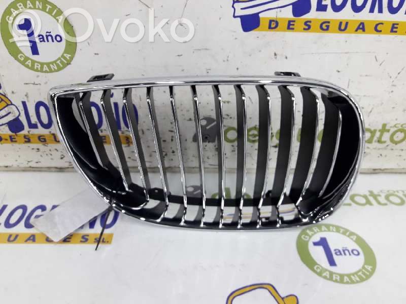 Rejilla delantera   51137128614