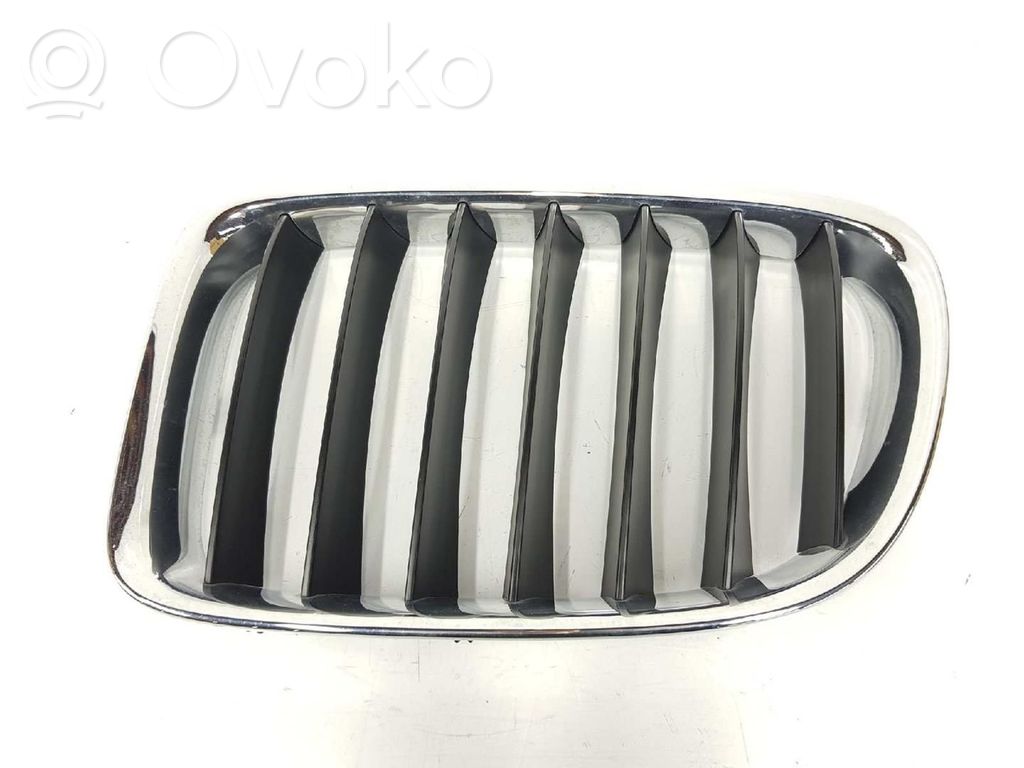 Front grill   51112993305
