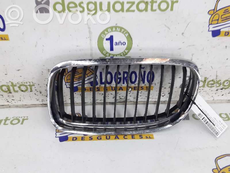 Grille de calandre avant   51137201967