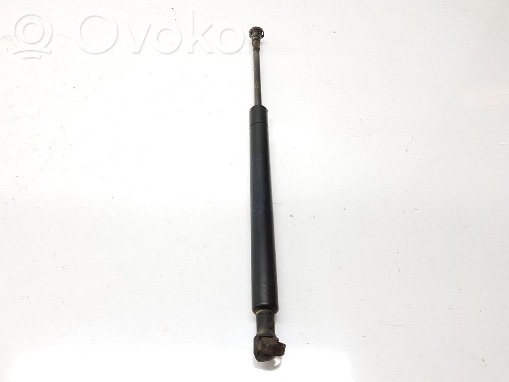 Tailgate/trunk strut/damper   8254281,51248254281