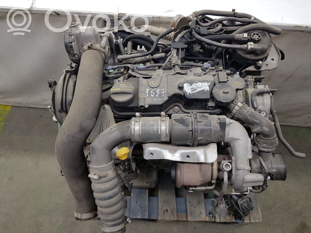 Engine   XVCE,2433073