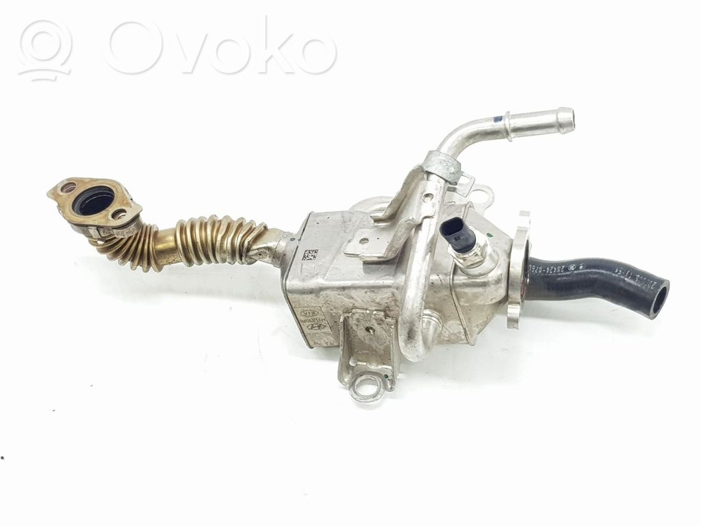 Hyundai i20 (GB IB) Valvola di raffreddamento EGR