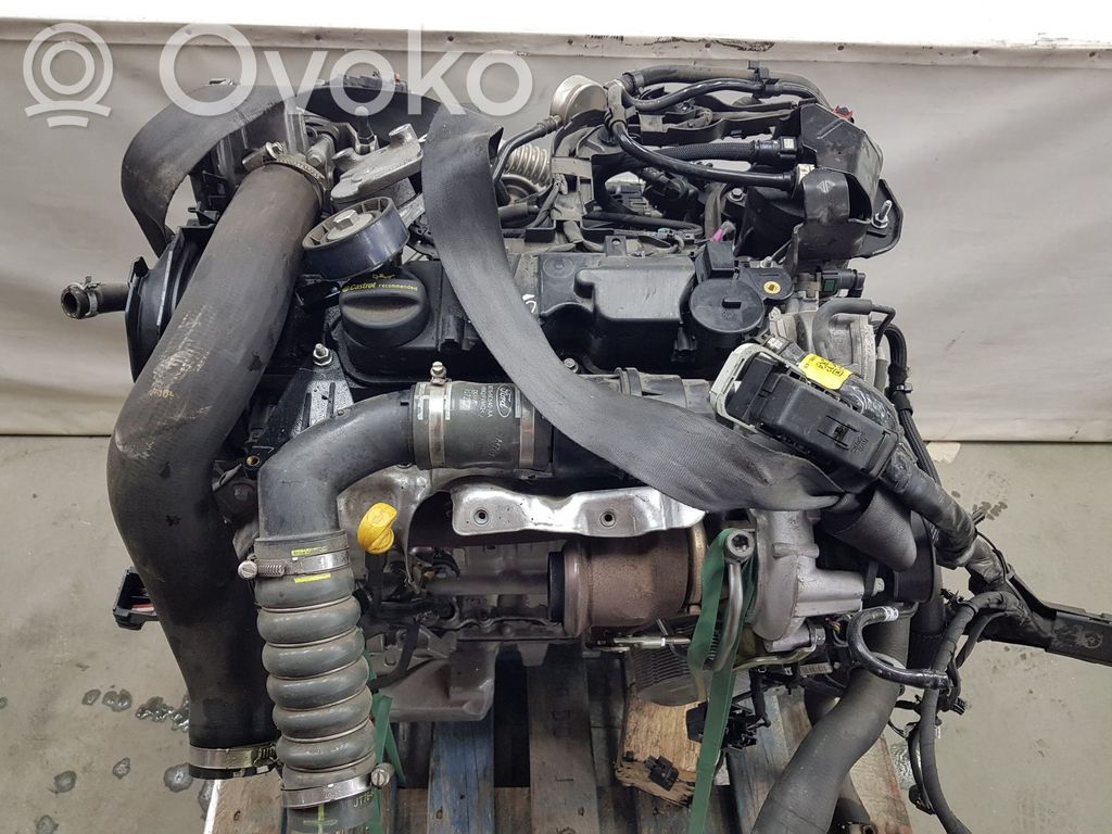 Ford Transit Courier Motor 
