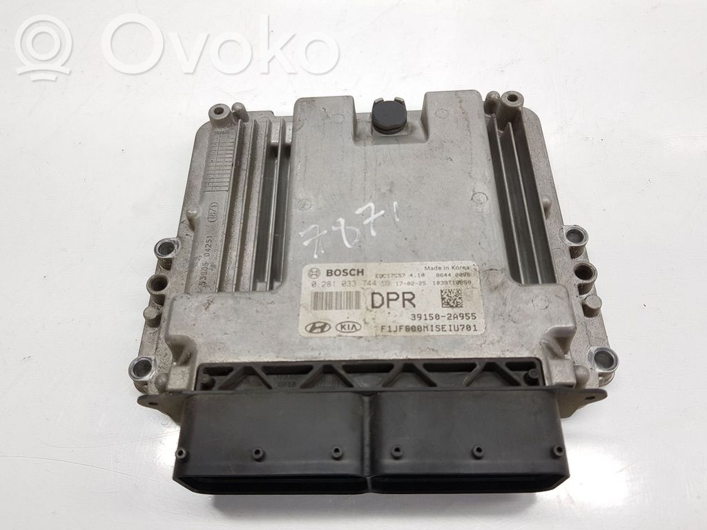 Engine control unit/module   391502A955,391502A955
