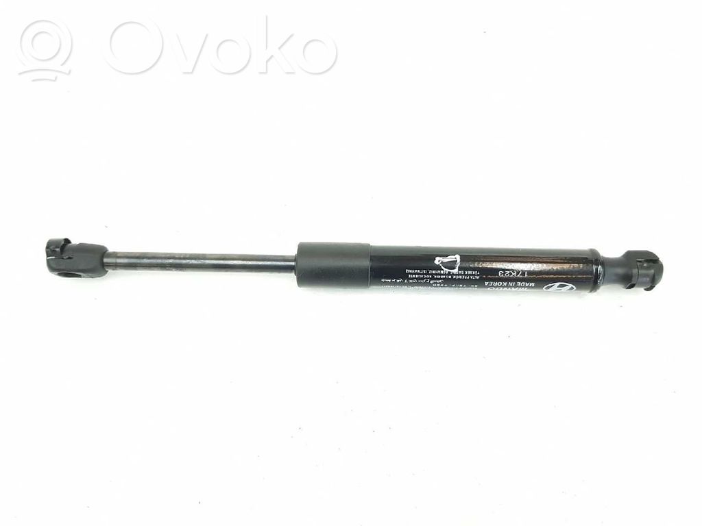Hyundai Santa Fe Amortizor capotă motor 