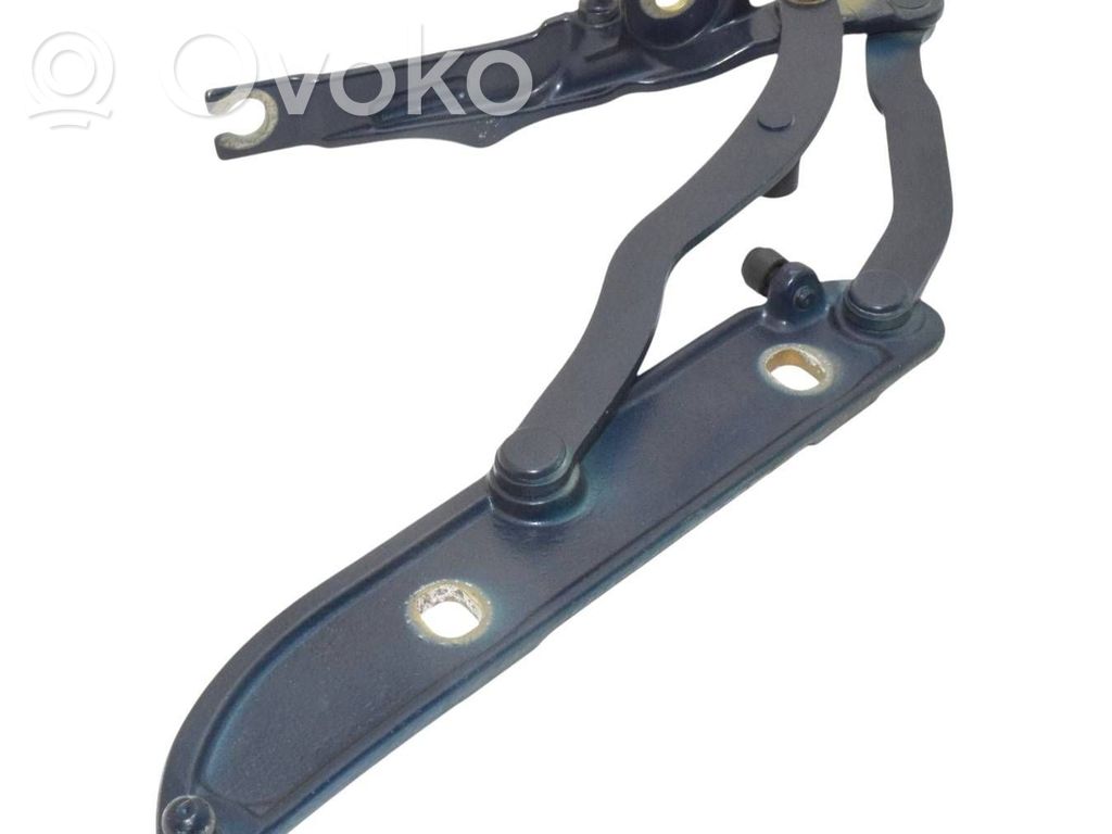 Tailgate/trunk/boot hinge   41627001559