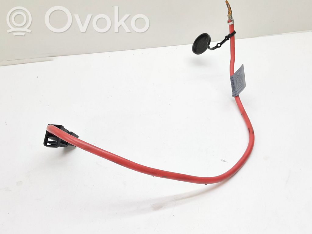 Cable positivo (batería)   6925170,61136925170