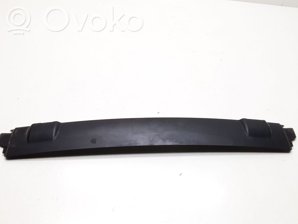 Tailgate trim   7119051,51497119051