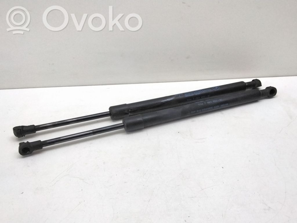 Tailgate/trunk strut/damper   7060623