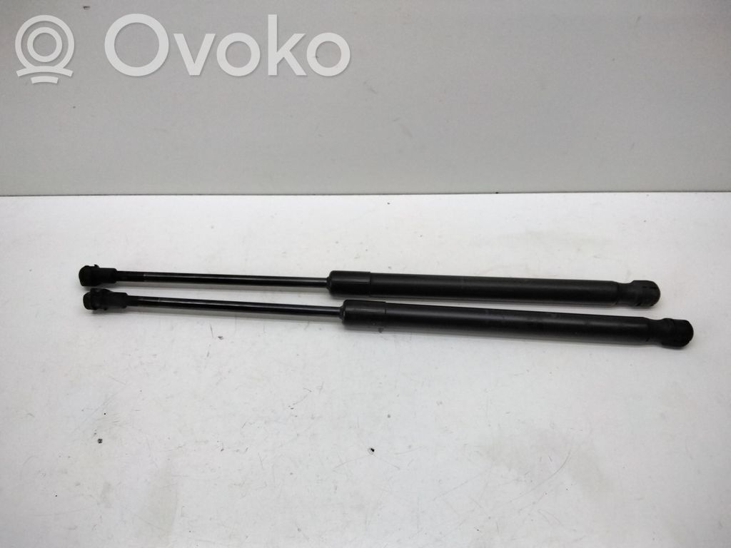 Tailgate/trunk strut/damper   7060622,51247060622