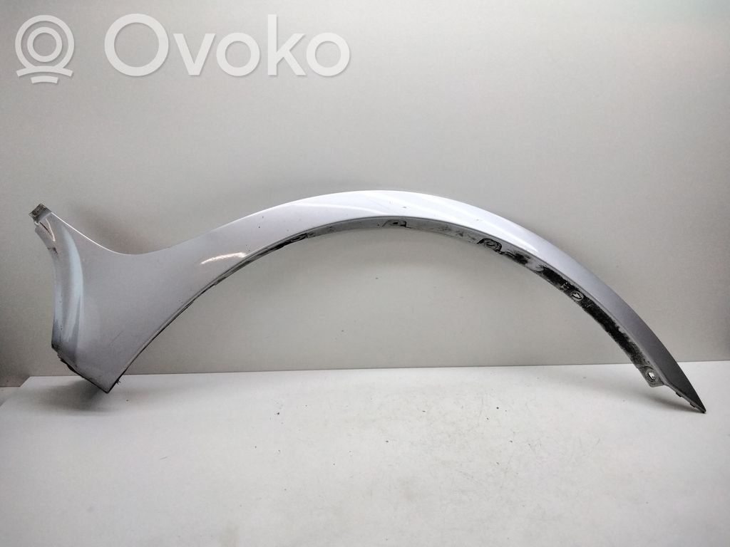 BMW X3 E83 Fender trim (molding) 