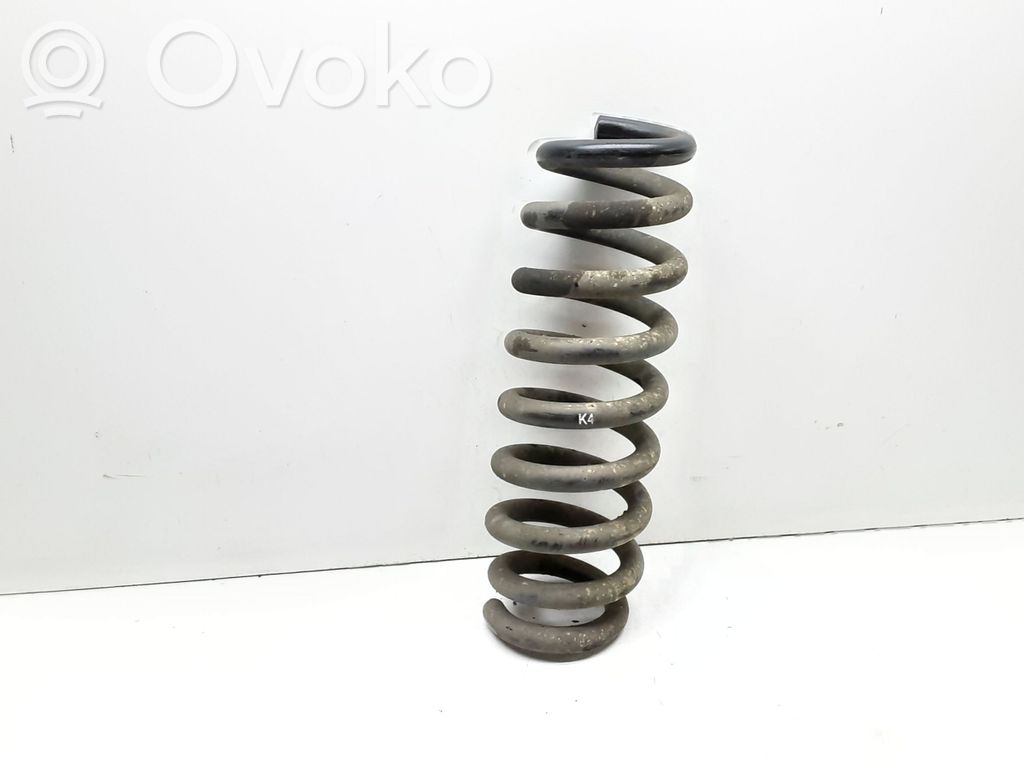Rear coil spring