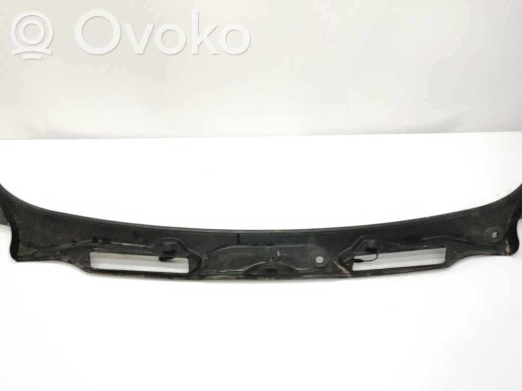 Wiper trim   7180743