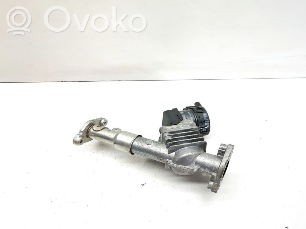 Válvula EGR   7563241