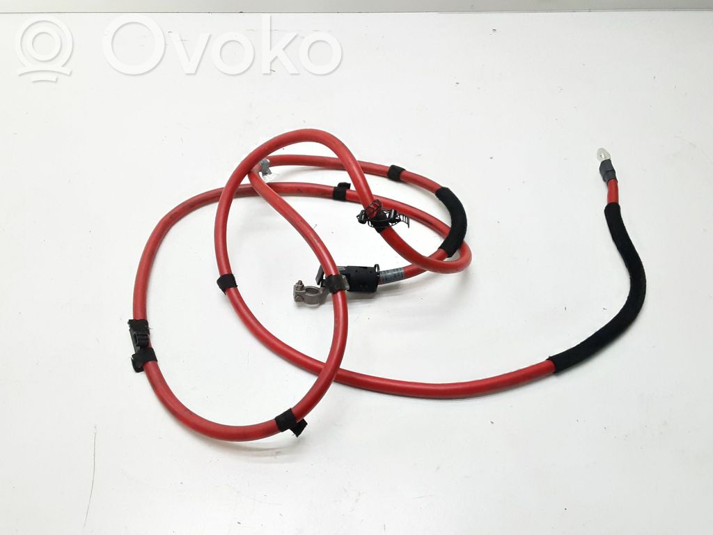 Pluskaapeli (akku)   6906913