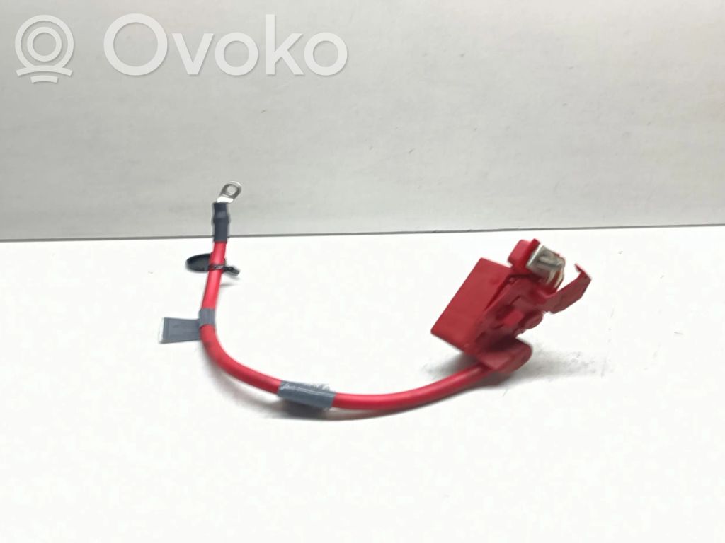 Pluskaapeli (akku)   6988974