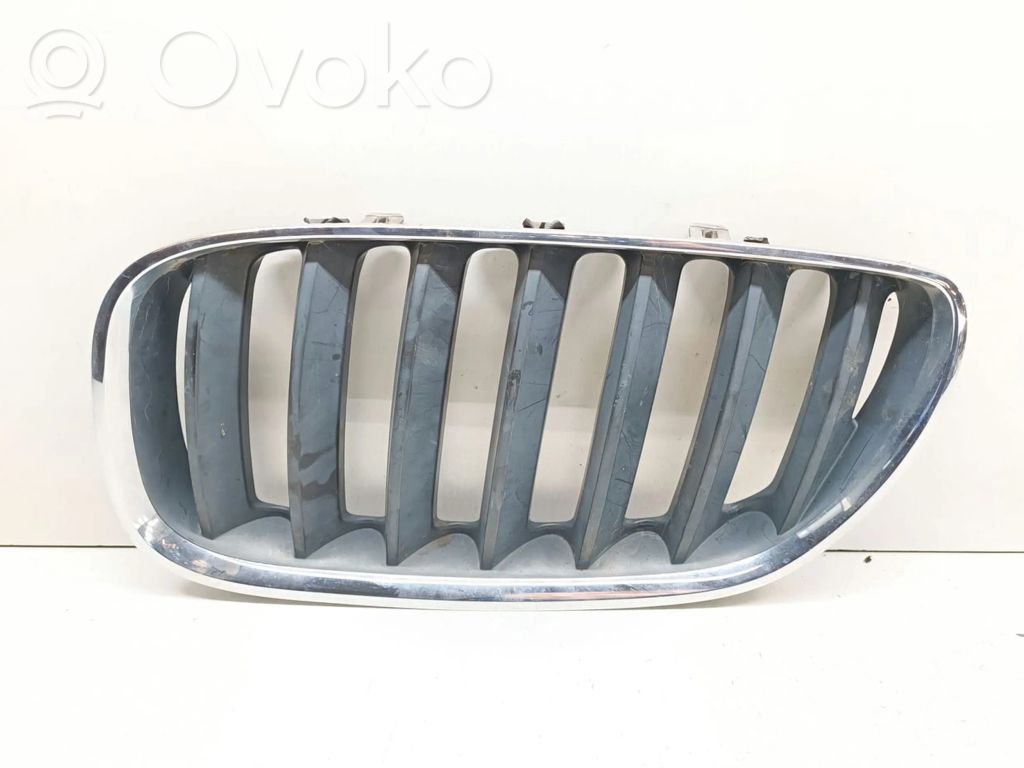 BMW X5 E53 Front bumper upper radiator grill 