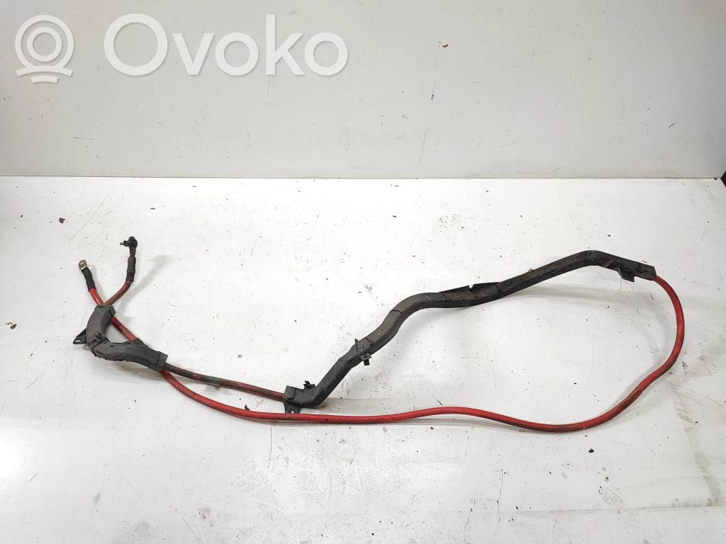 Plusa vads (akumulatora)   9125024