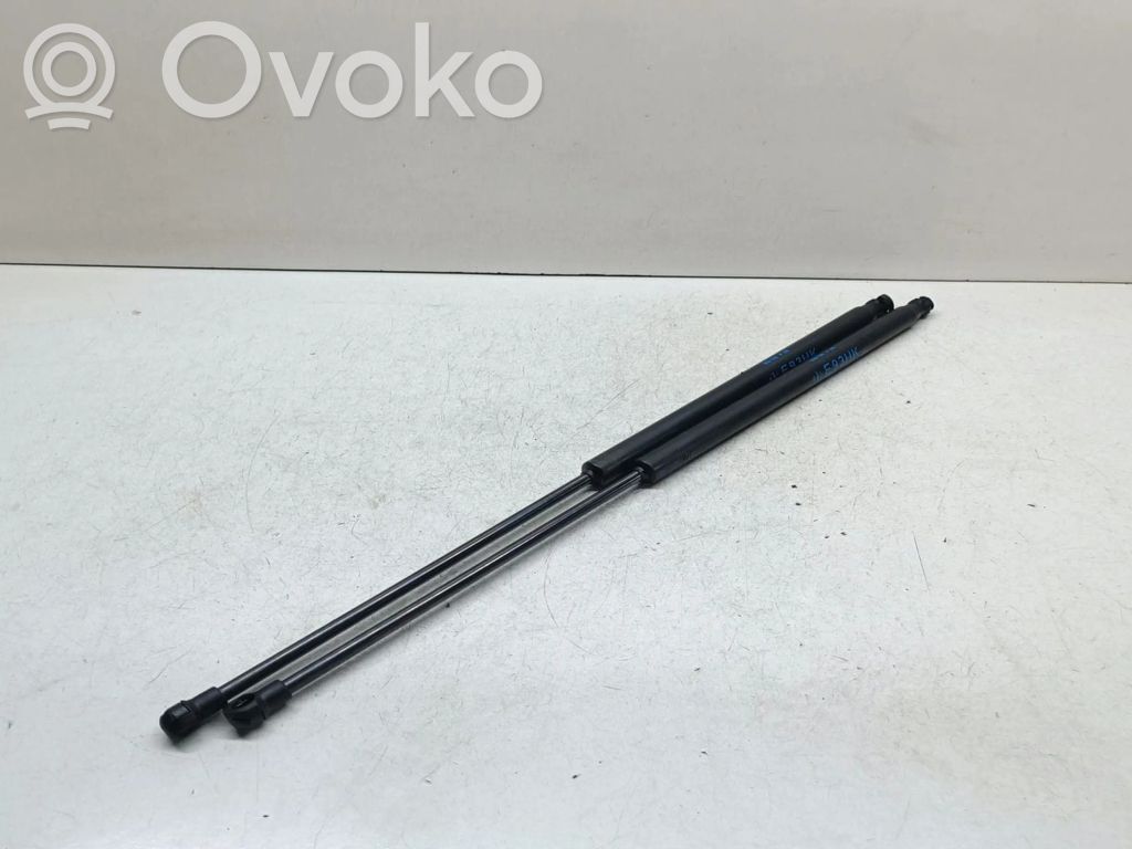 Tailgate/trunk strut/damper   7129215