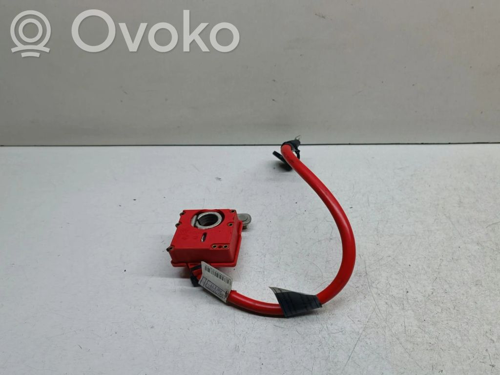 Plusa vads (akumulatora)   9217031