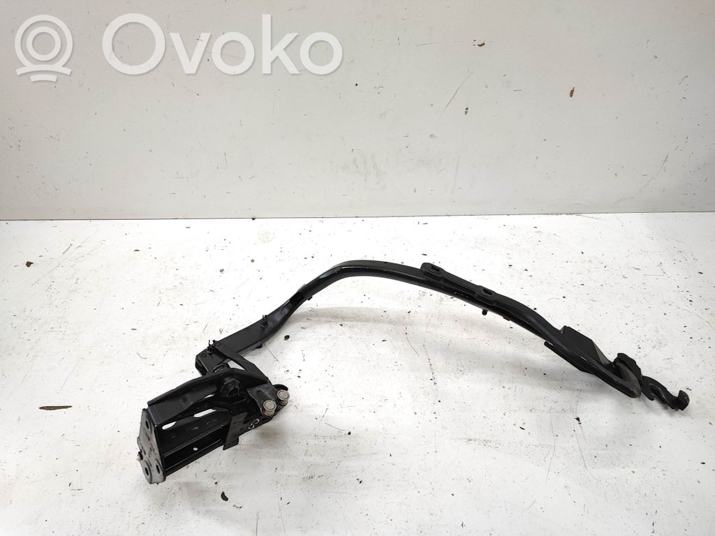 Tailgate/trunk/boot hinge   200400095