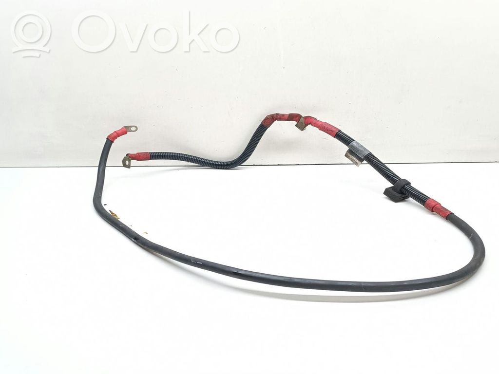Positive cable (battery)   7560378