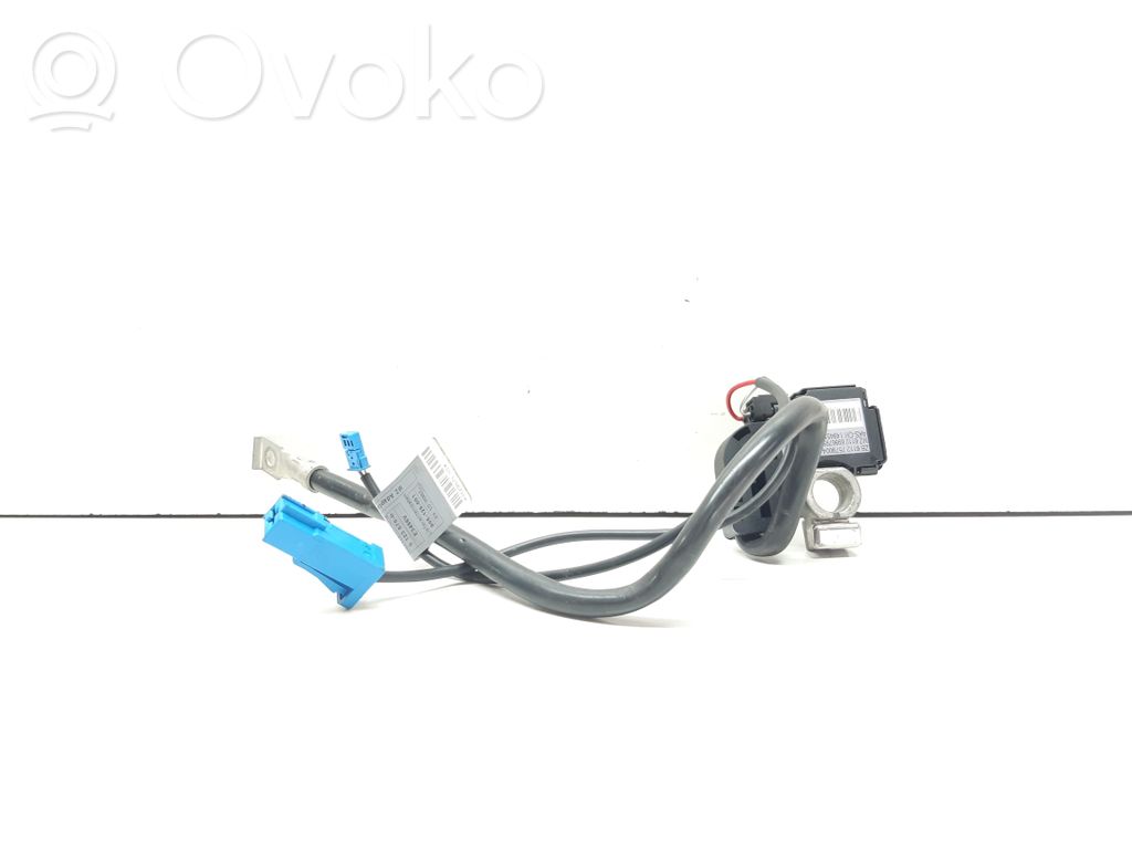 BMW 1 E82 E88 Negative earth cable (battery) 