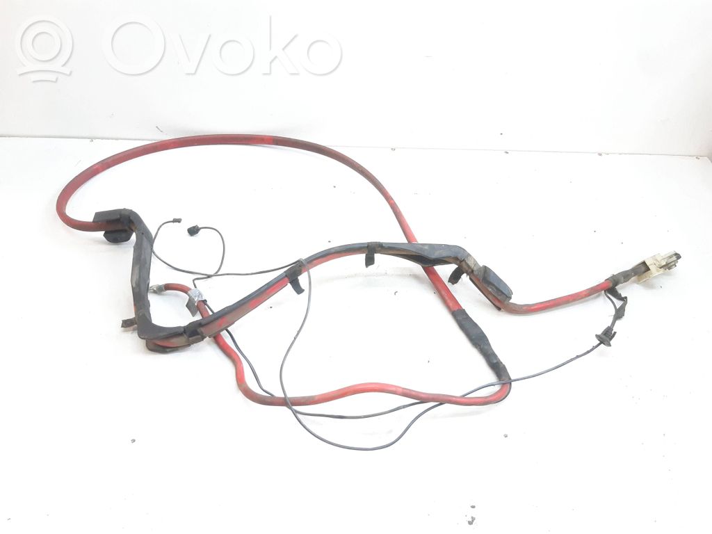 Plusa vads (akumulatora)   6927705