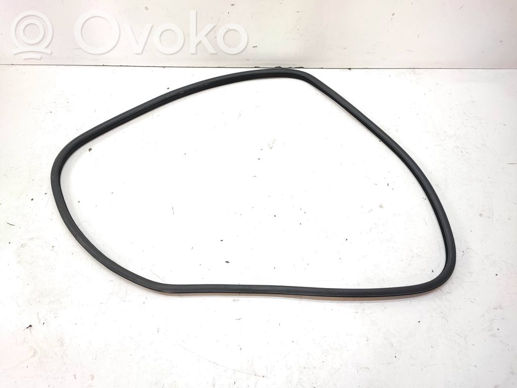 BMW 5 F10 F11 Guarnizione in gomma portiera posteriore (sulla carrozzeria)