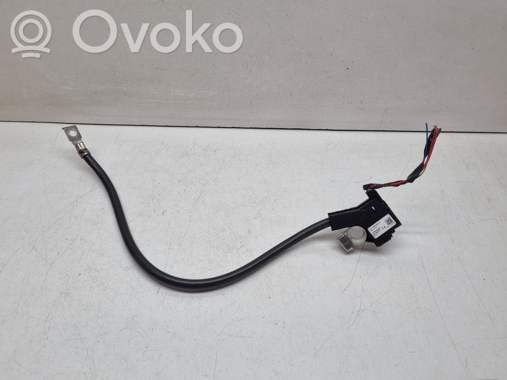 BMW 5 F10 F11 Cavo negativo messa a terra (batteria) 