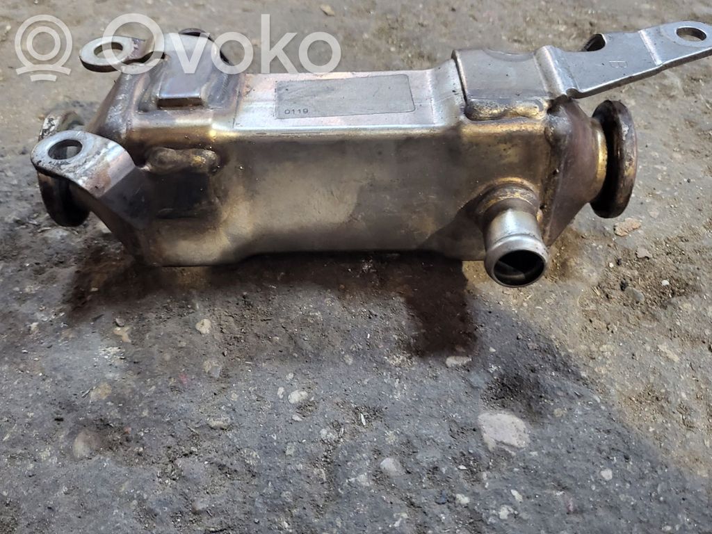 BMW 5 E39 EGR aušintuvas 
