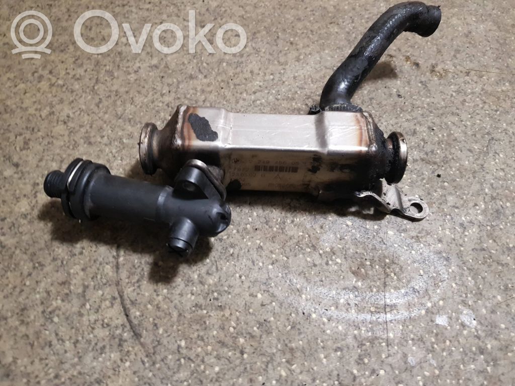 BMW 3 E46 EGR aušintuvas 