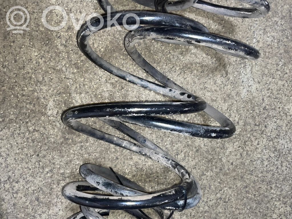 Front coil spring