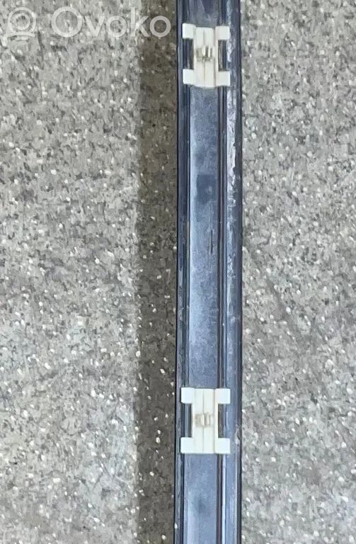 BMW 5 E39 Rivestimento della portiera anteriore (modanatura) 