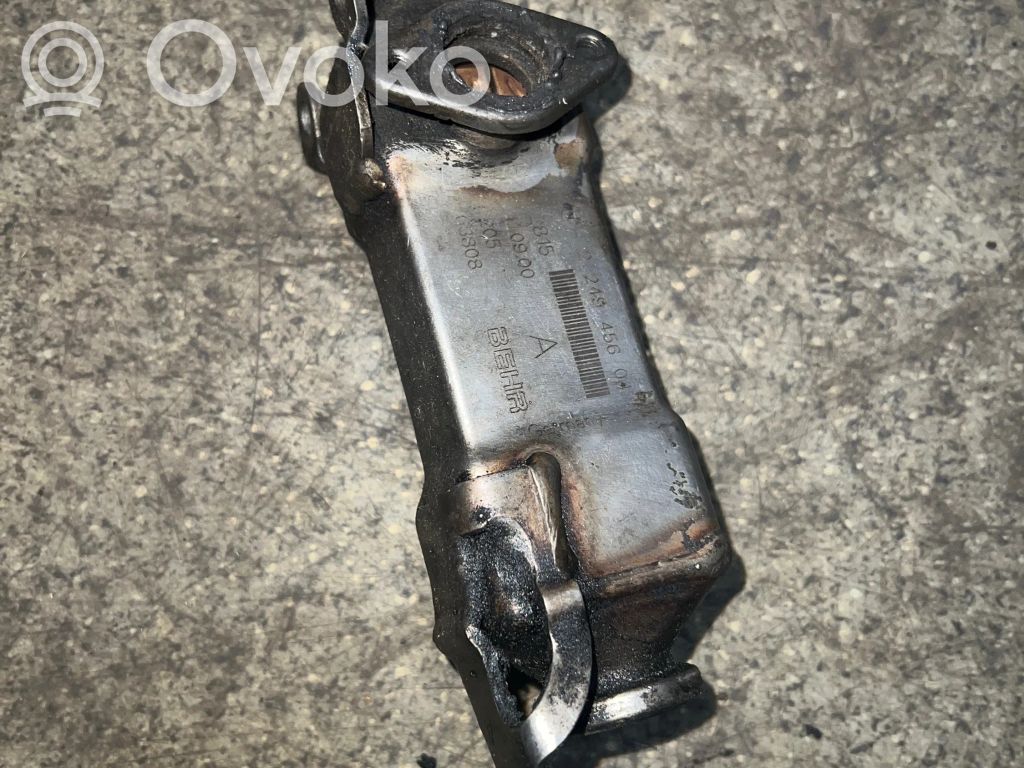 BMW 3 E46 EGR aušintuvas 