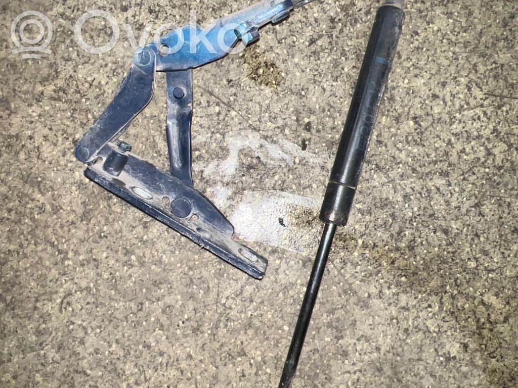 BMW 5 E39 Engine bonnet/hood hinges 