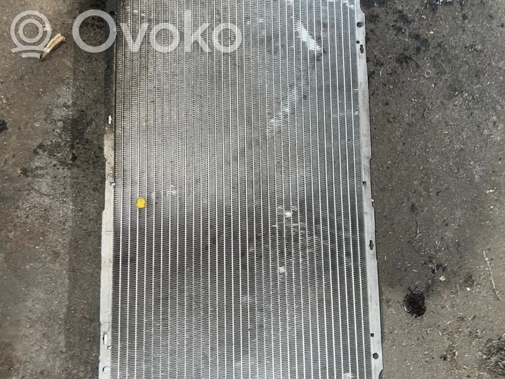 BMW 5 E39 Aušinimo skysčio radiatorius 