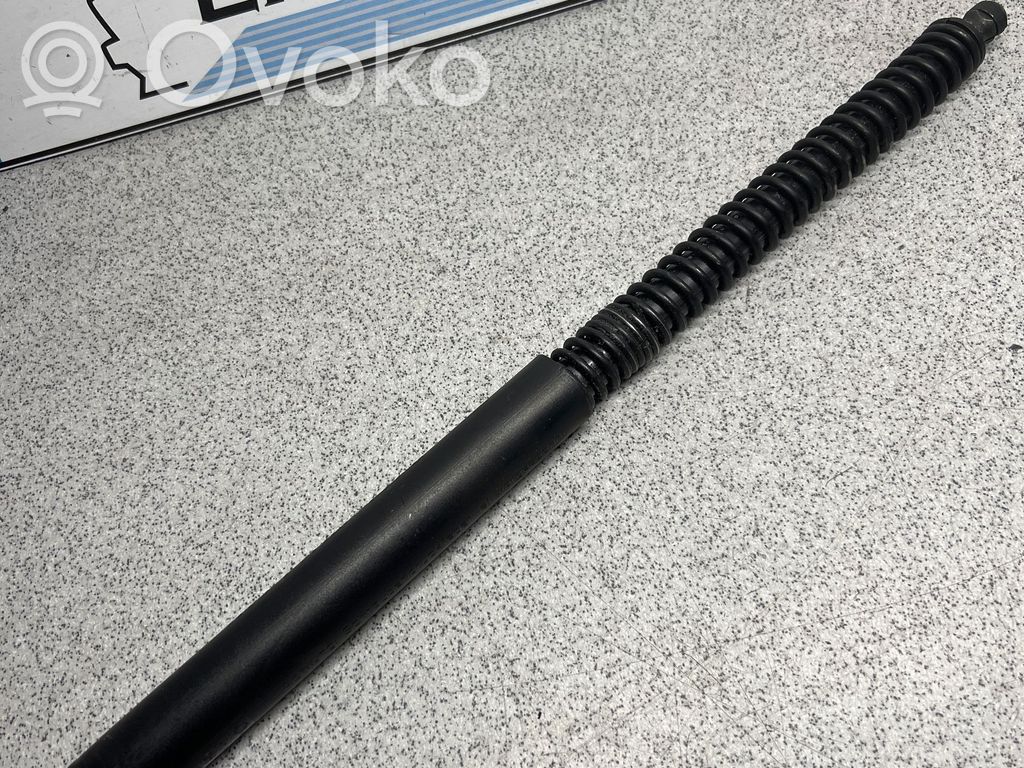 Tailgate/trunk strut/damper   8223811