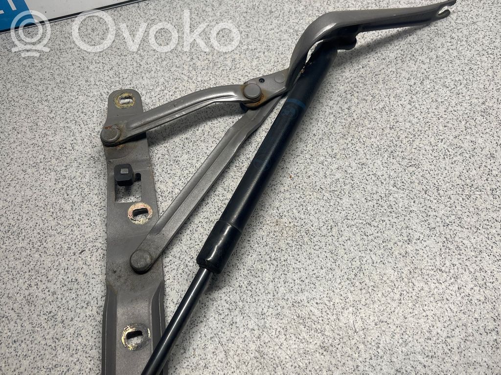 Tailgate/trunk/boot hinge   8159398