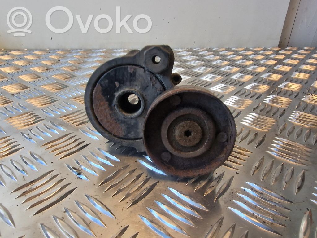 Audi A8 S8 D3 4E Tensor de correa del alternador 