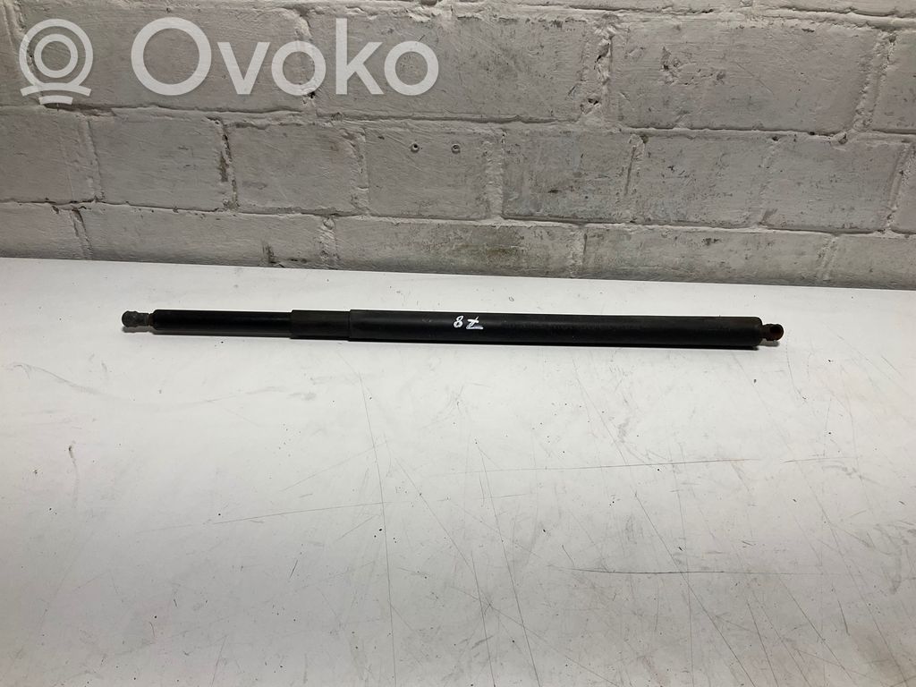 Tailgate/trunk strut/damper   7201468