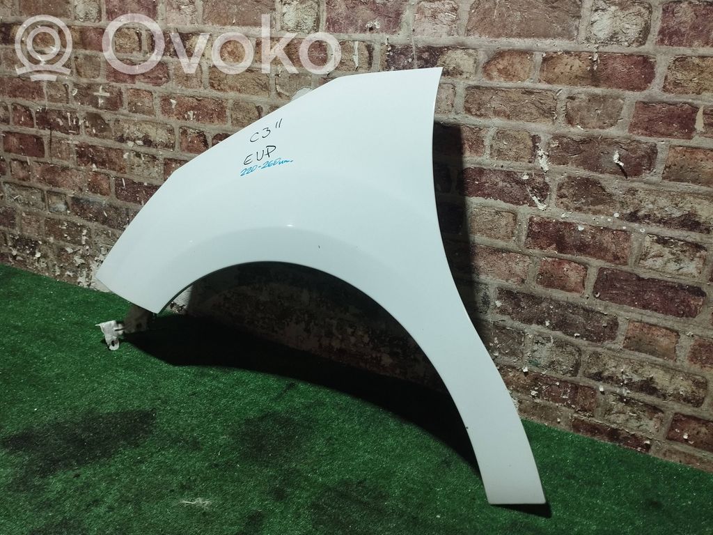 Fender