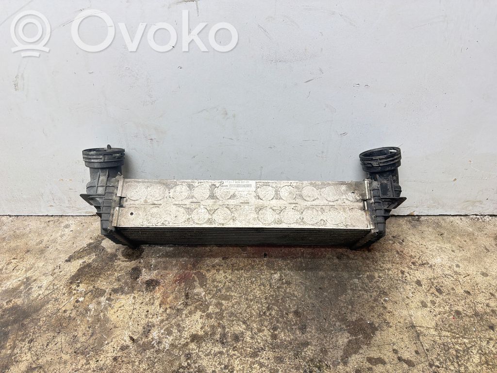 BMW X6 F16 Intercooler radiator 
