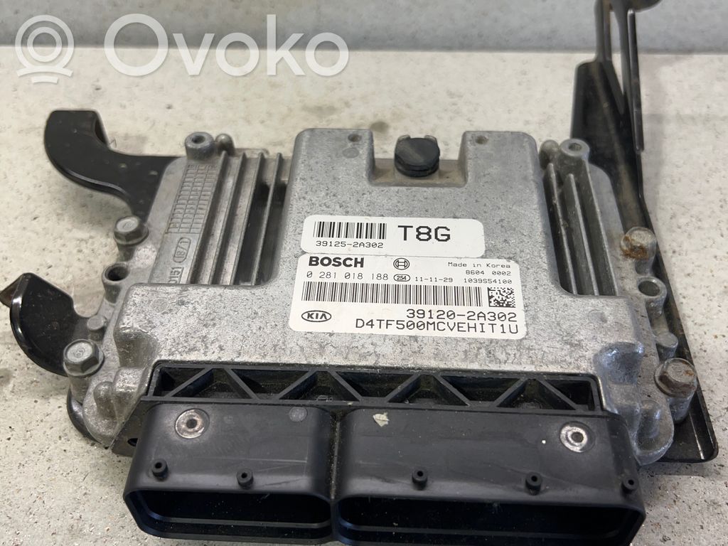 KIA Optima Engine control unit/module 