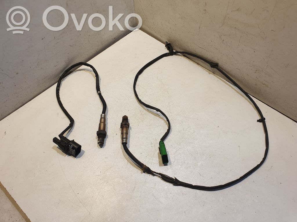 Зонд «Lambda»   06C906265B,078906265,0258005442