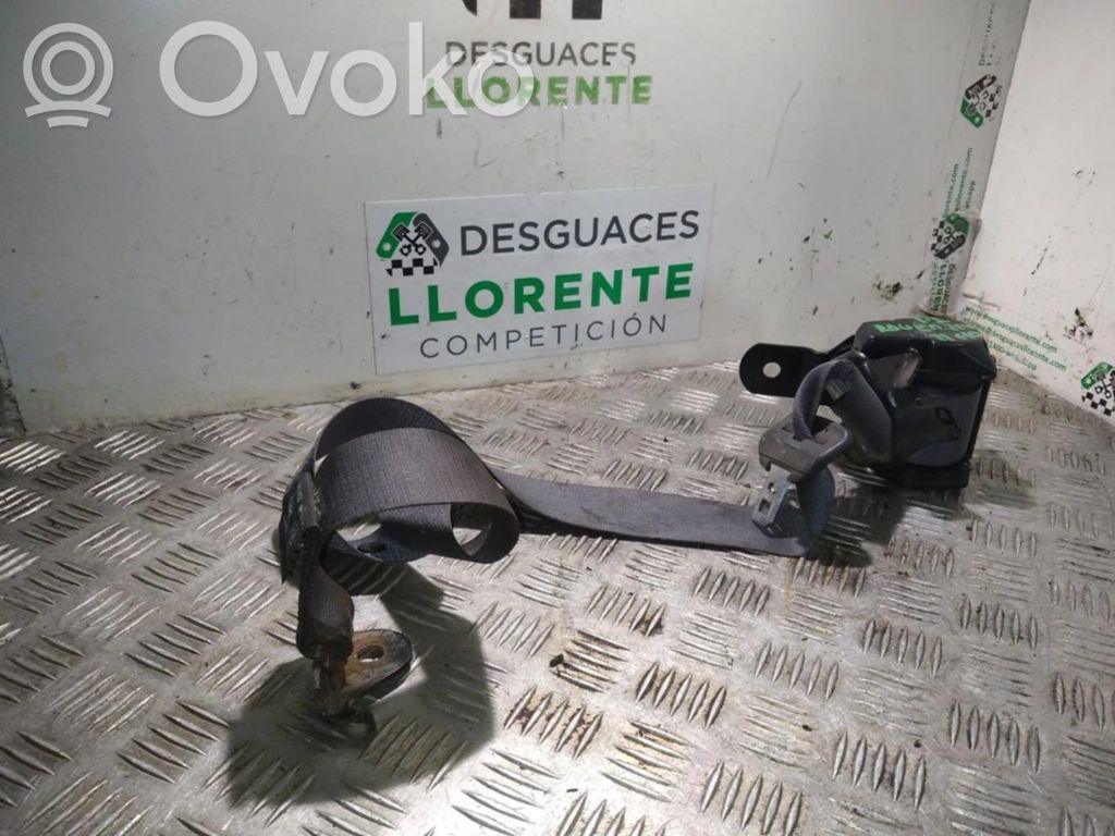 Cinturón trasero