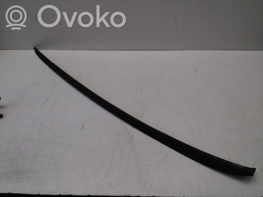 Ford Focus Windshield trim 