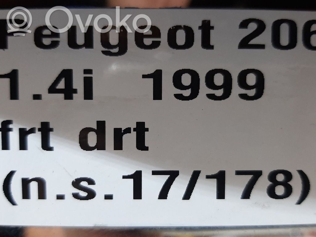 Peugeot 206 Spogulis (elektriski vadāms) 