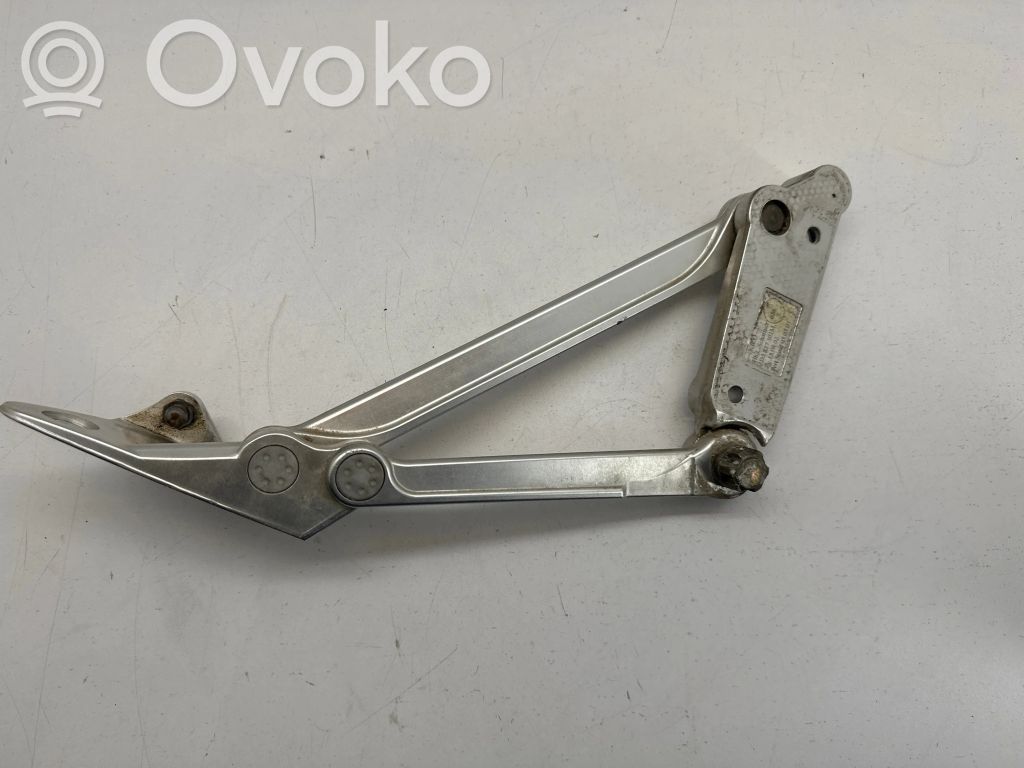 Volkswagen Phaeton Tailgate/trunk/boot hinge 