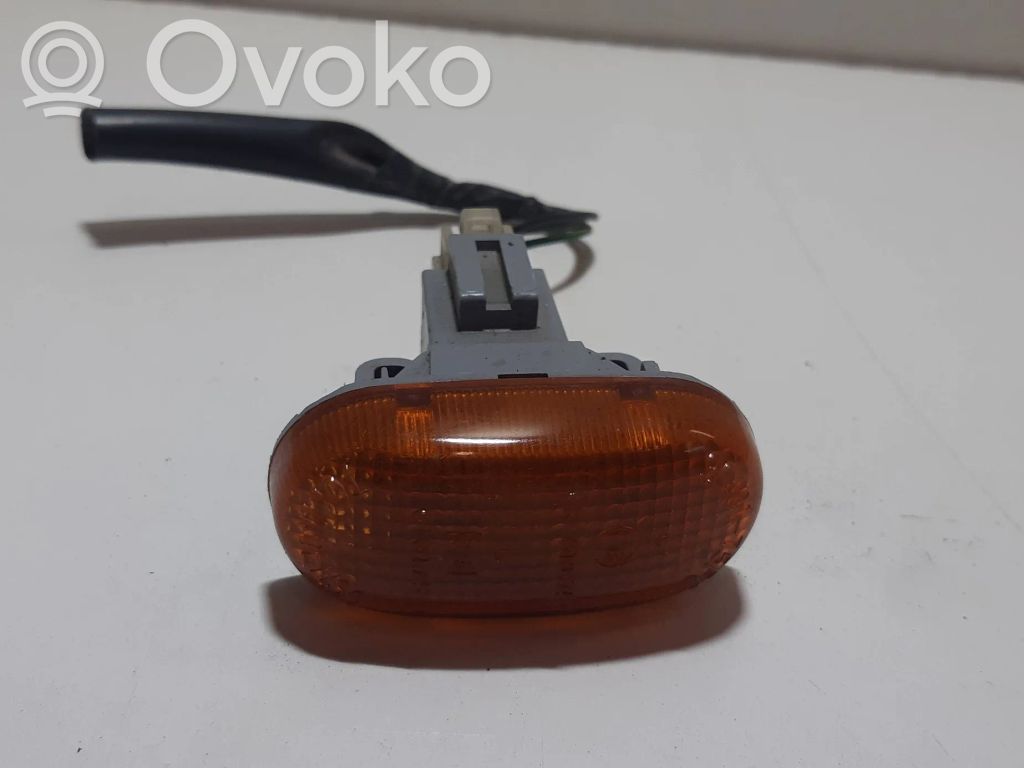 Seitenblinker   3640175F0